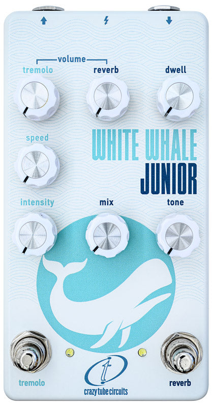 Crazy Tube Circuits White Whale Jr Pedal Reverb con Tremolo 1