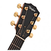 Taylor 224CE K DLX Koa Deluxe Guitarra Electroacústica Grand Auditorium 8