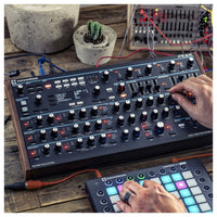 Novation Peak Sintetizador Polifónico 8 Voces 15