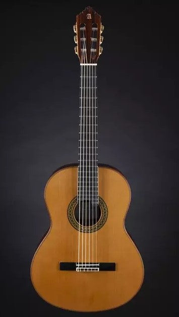 Alhambra Premier Pro Madagascar con Estuche Guitarra Española 2