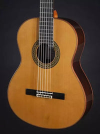 Alhambra Premier Pro Madagascar con Estuche Guitarra Española 4