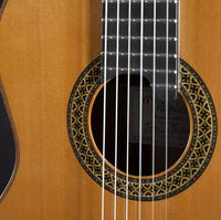 Alhambra Premier Pro Madagascar con Estuche Guitarra Española 8