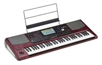 Korg PA1000 Teclado Interactivo 2