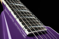 ESP LTD Alexi Hexed Guitarra Eléctrica Purple Fade with Pin Stripes 12