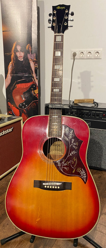 Maya F338H Guitarra Acústica Dreadnought con Estuche. Segunda Mano 1