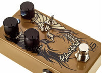 VS Audio Blackbird Pedal Preamplificador 9