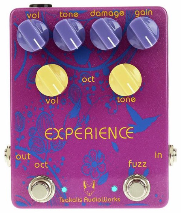 Tsakalis Audioworks Experience Pedal Fuzz 1