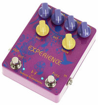 Tsakalis Audioworks Experience Pedal Fuzz 4