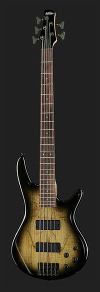 Ibanez GSR205SM NGT Bajo Eléctrico 5 Cuerdas Natural Gray Burst 2