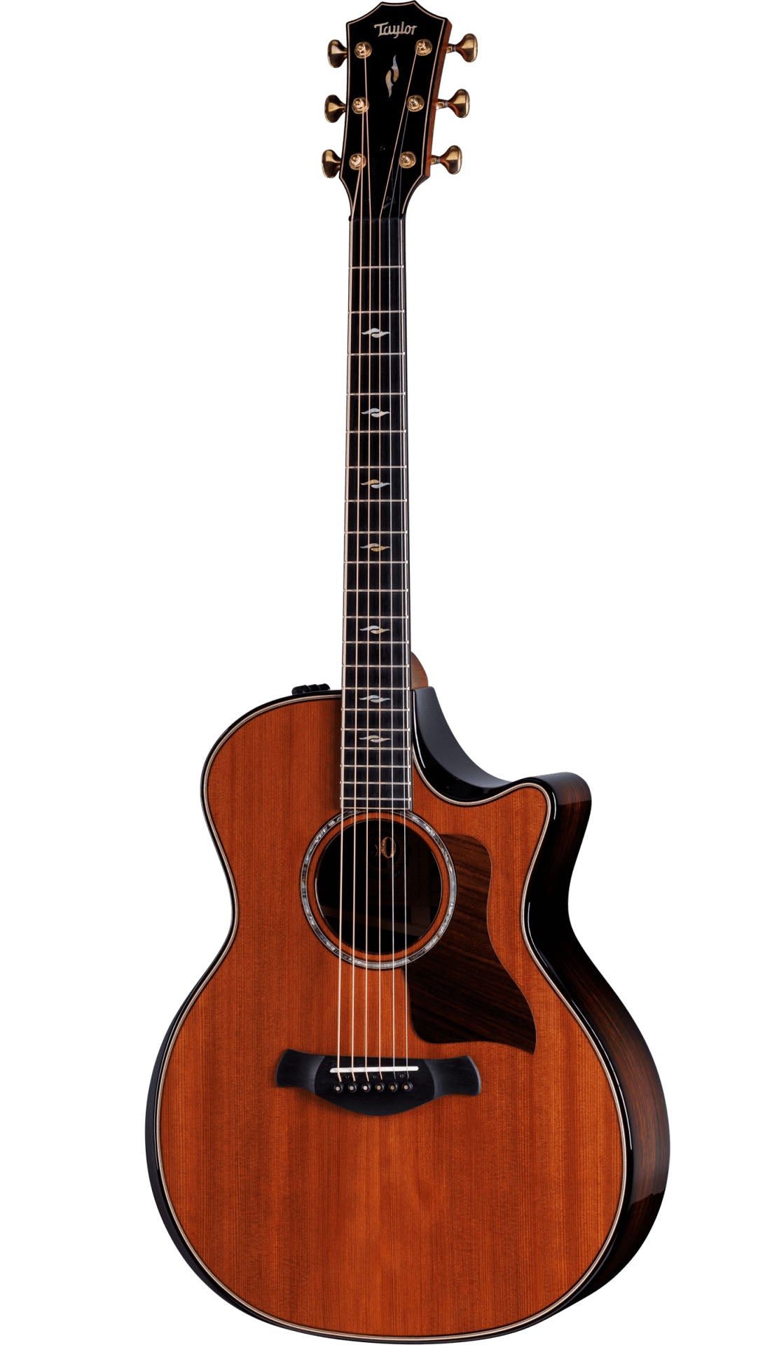 Taylor Builders Edition 814CE 50Th Anniversary Guitarra Electroacústica Gran Auditorio 1