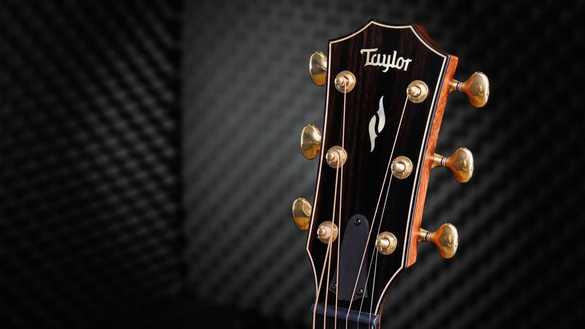 Taylor Builders Edition 814CE 50Th Anniversary Guitarra Electroacústica Gran Auditorio 12