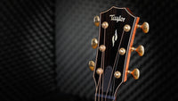 Taylor Builders Edition 814CE 50Th Anniversary Guitarra Electroacústica Gran Auditorio 12