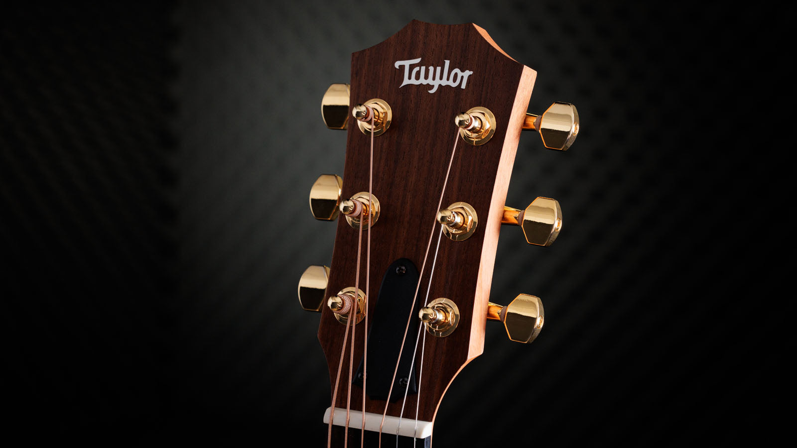 Taylor GS Mini-E VSB 50Th Anniversary Guitarra Electroacústica 11