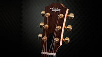 Taylor GS Mini-E VSB 50Th Anniversary Guitarra Electroacústica 11