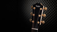 Taylor 217E SB Plus 50Th Anniversary Guitarra Electroacústica Grand Pacific 12