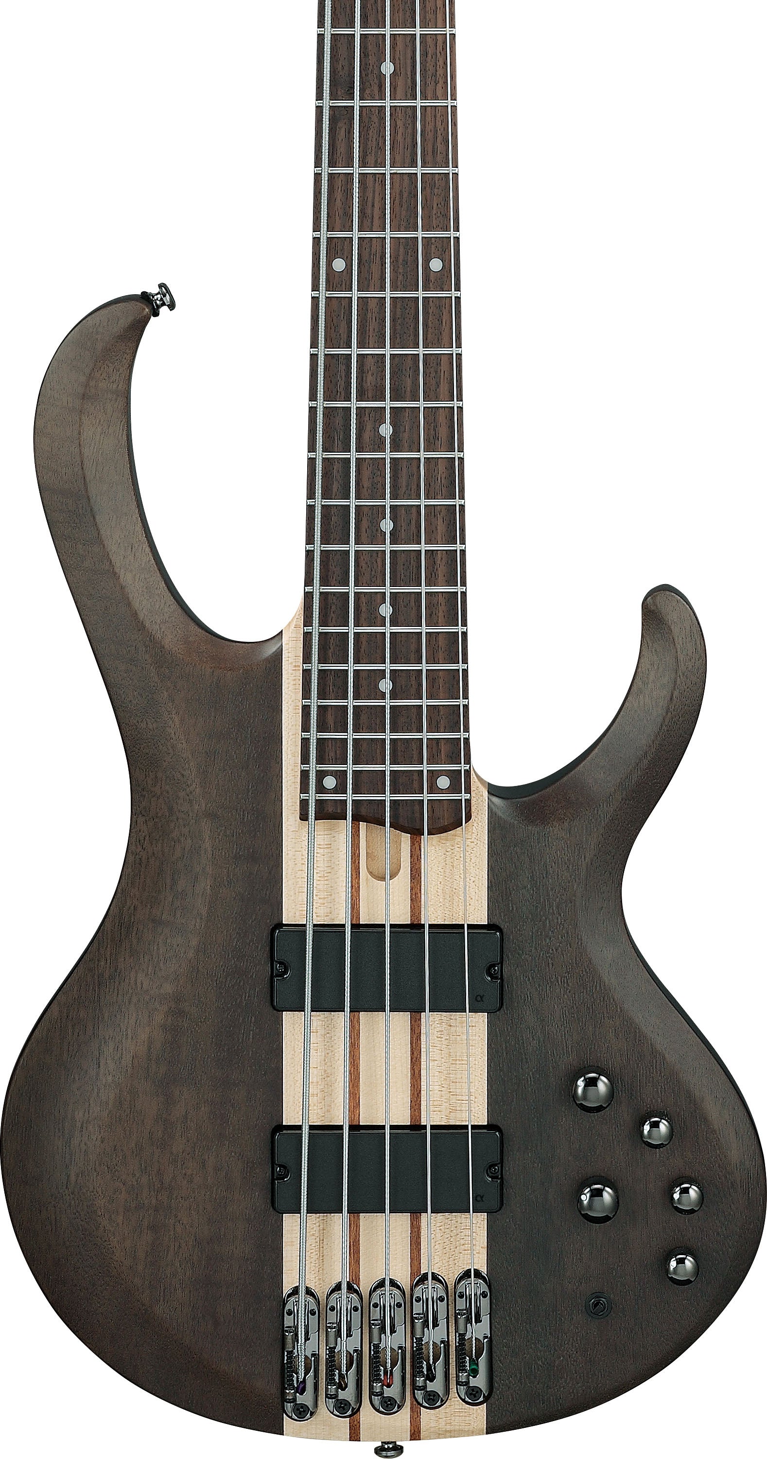 IBANEZ BTB605 TGF Bajo Eléctrico 5 Cuerdas Transparent Gray Flat 4