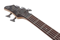 IBANEZ BTB605 TGF Bajo Eléctrico 5 Cuerdas Transparent Gray Flat 8