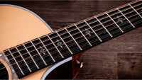 Taylor 454ce-12 NAT Guitarra Electroacústica Gran Auditorio 12 Cuerdas Natural 6