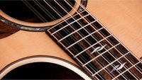 Taylor 854CE-12 Guitarra Electroacústica Gran Auditorio 12 Cuerdas 3