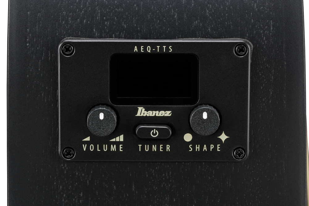 Ibanez AEG1221 BOT Guitarra ElectroAcústica 12 Cuerdas Black Out 4