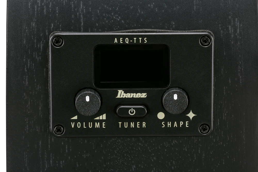 Ibanez AEG621 BOT Guitarra ElectroAcústica Black Out 4