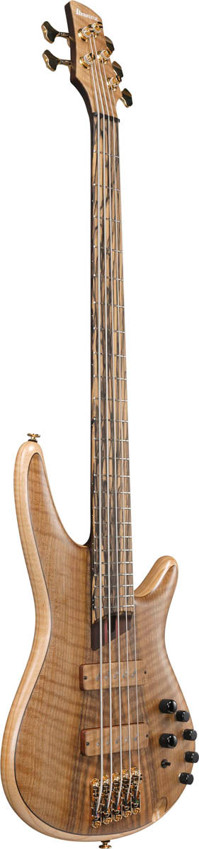 Ibanez IV1SR Visions Bajo Eléctrico 5 Cuerdas 3