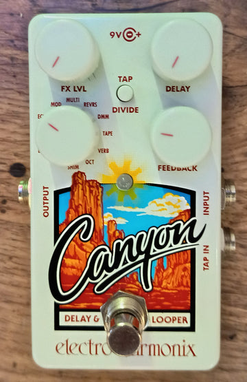 Electro Harmonix Canyon Pedal Delay. Segunda Mano 1