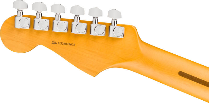 Fender American Professional Stratocaster MN Guitarra Electrica Natural 6