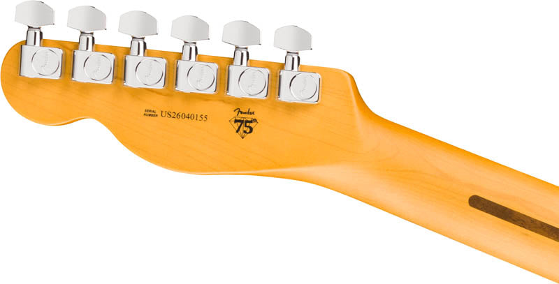 Fender American Professional Telecaster RW Guitarra Electrica Dark Night 6