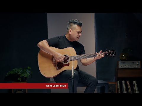 TAYLOR GOLD LABEL 810E GUITARRA ELECTROACUSTICA DREADNOUGHT